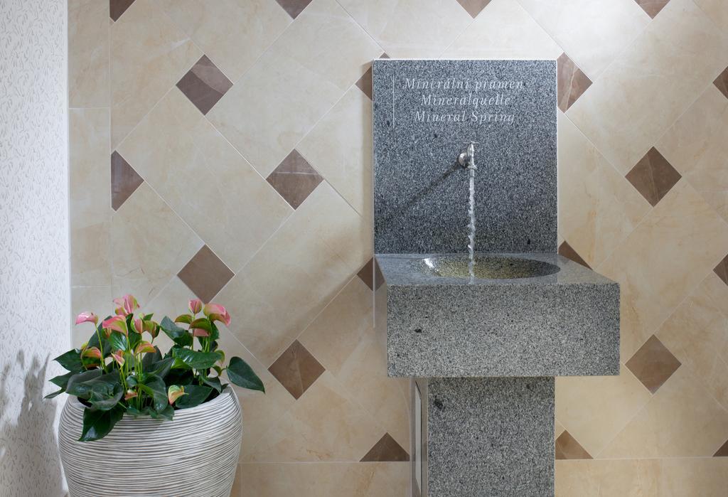 Badenia Hotel Praha Františkovy Lázně Eksteriør bilde